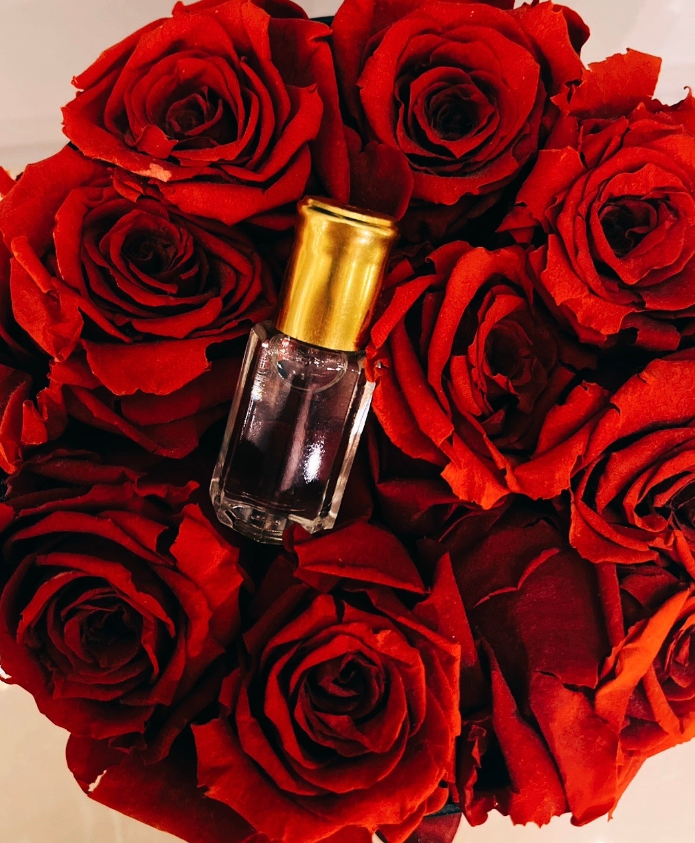 Rose of Musk