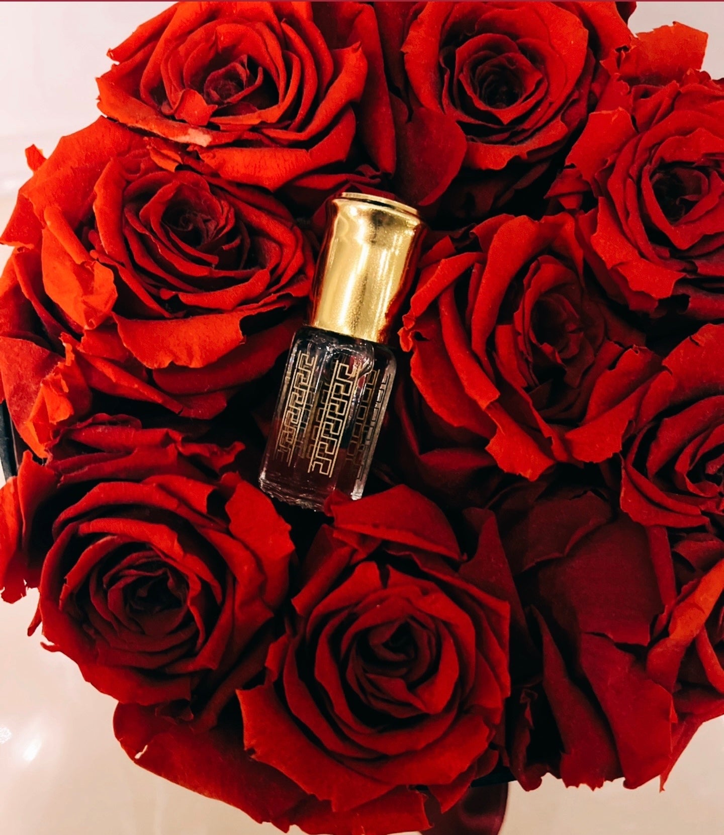 Rose of Musk